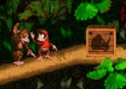Donkey Kong Country