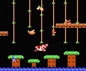 Donkey Kong Jr