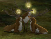 The Endless Forest