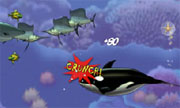 Feeding Frenzy on the 360