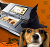 Nintendogs