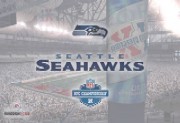 360 SuperBowl theme