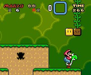 Super Mario World